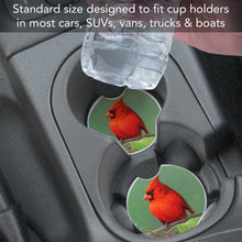Railbirds Bulk Absorbent Stone Car Coaster