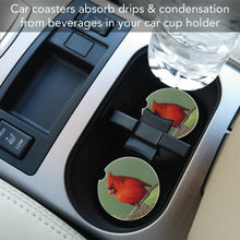 Railbirds Bulk Absorbent Stone Car Coaster