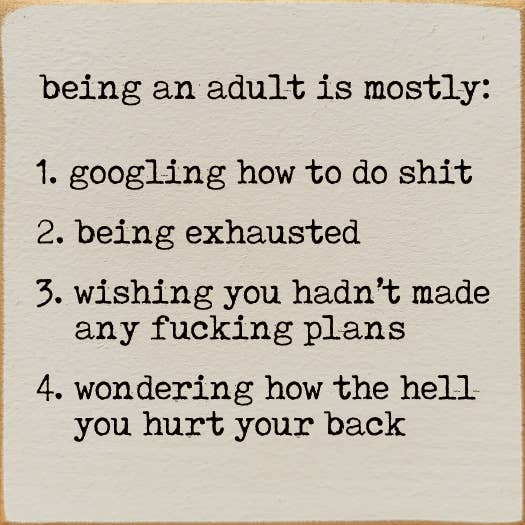 Being An Adult Is Mostly: 1. Googling How To Do Shit …