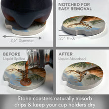 Morning Light Bulk Stone Car Coaster