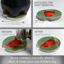 Railbirds Bulk Absorbent Stone Car Coaster
